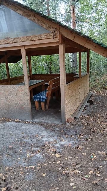В Иванырсинском лесу