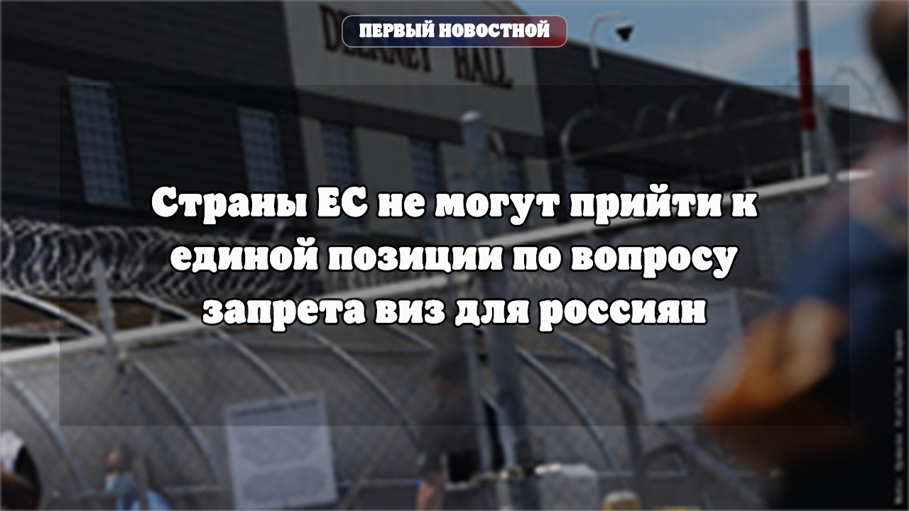 Страны ЕС не могут прийти к единой позиции по запрету виз для россиян