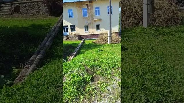 Доброе утро, жду такси