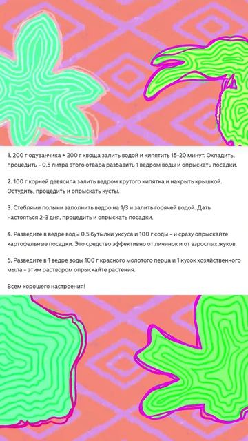 Боремся с колорадским жуком...