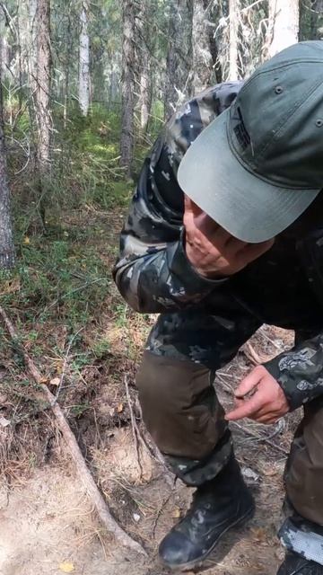 Бурундук в деле, и его запасы на зиму.