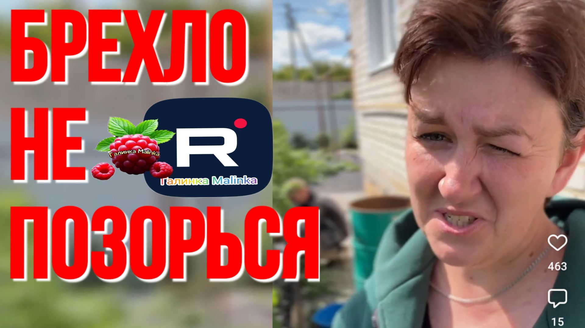 Брехло, не позорься /Деревенский дневник очень многодетной мамы Обзор