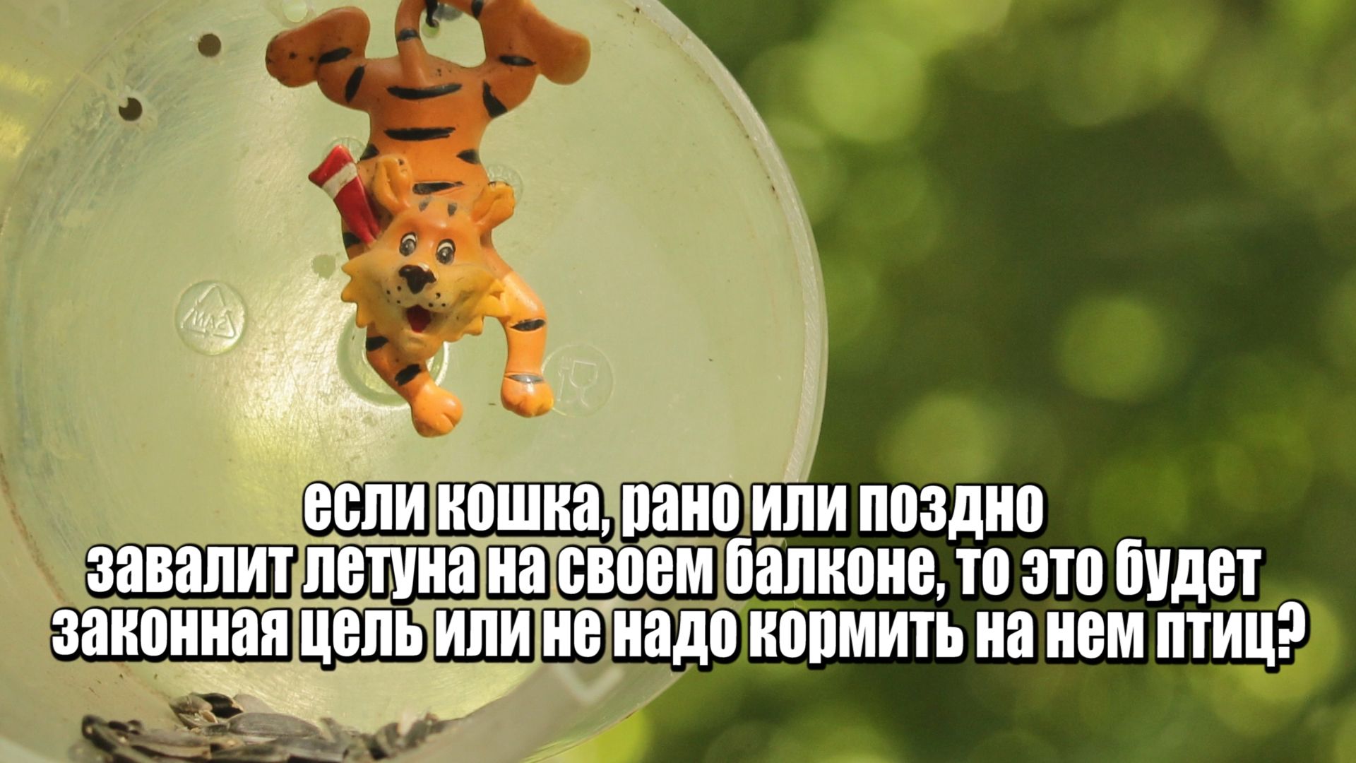 ЕСЛИ КОШКА...