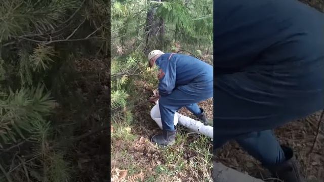 Жизнь Урала со мной 
