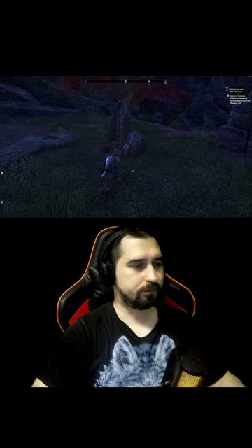 Когда на 60 секунд залетел в The Elder Scrolls Online