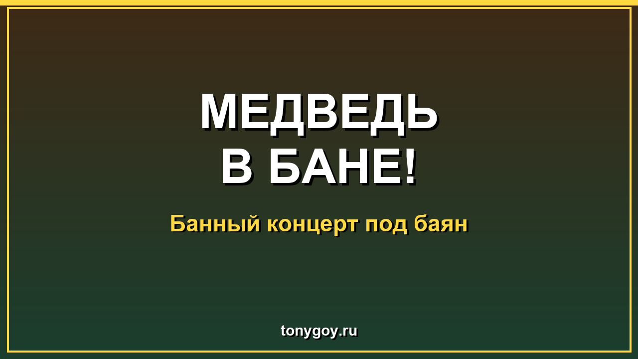 Медведь пришёл на банный концерт: баян и веник против гостя