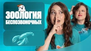 Зоология беспозвоночных | Полугодовик | ЕГЭ-2026 с Биологическим Тюленем | Stepenin.ru