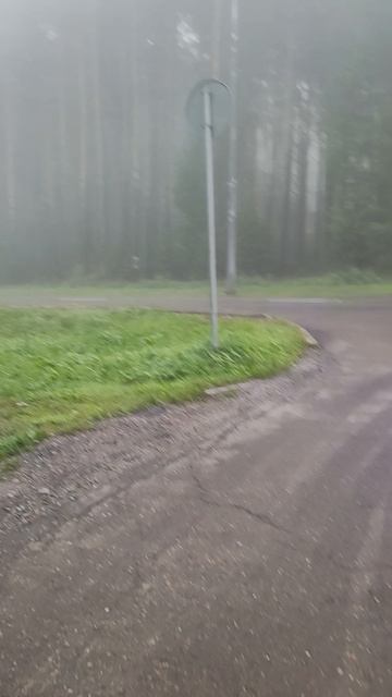 24-08-2026 Туман