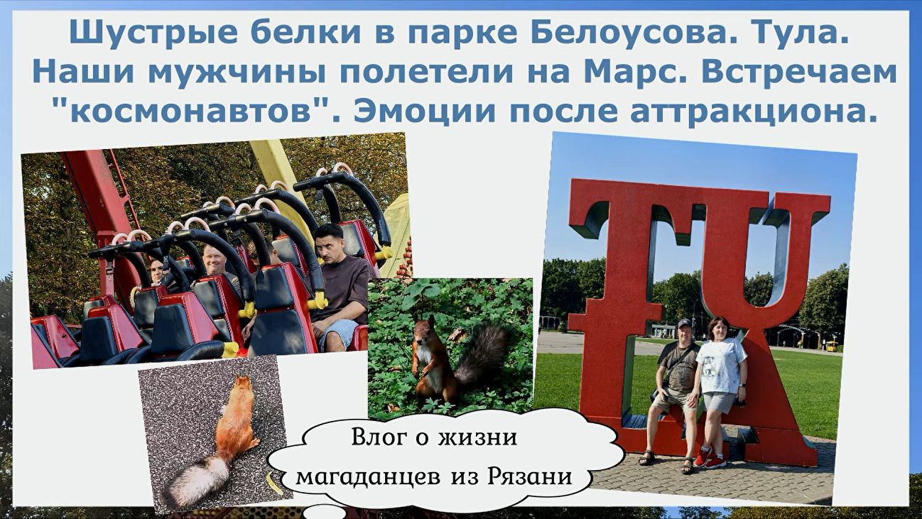 Белки в парке Белоусова. Тула. Наши мужчины полетели на Марс. Встречаем 