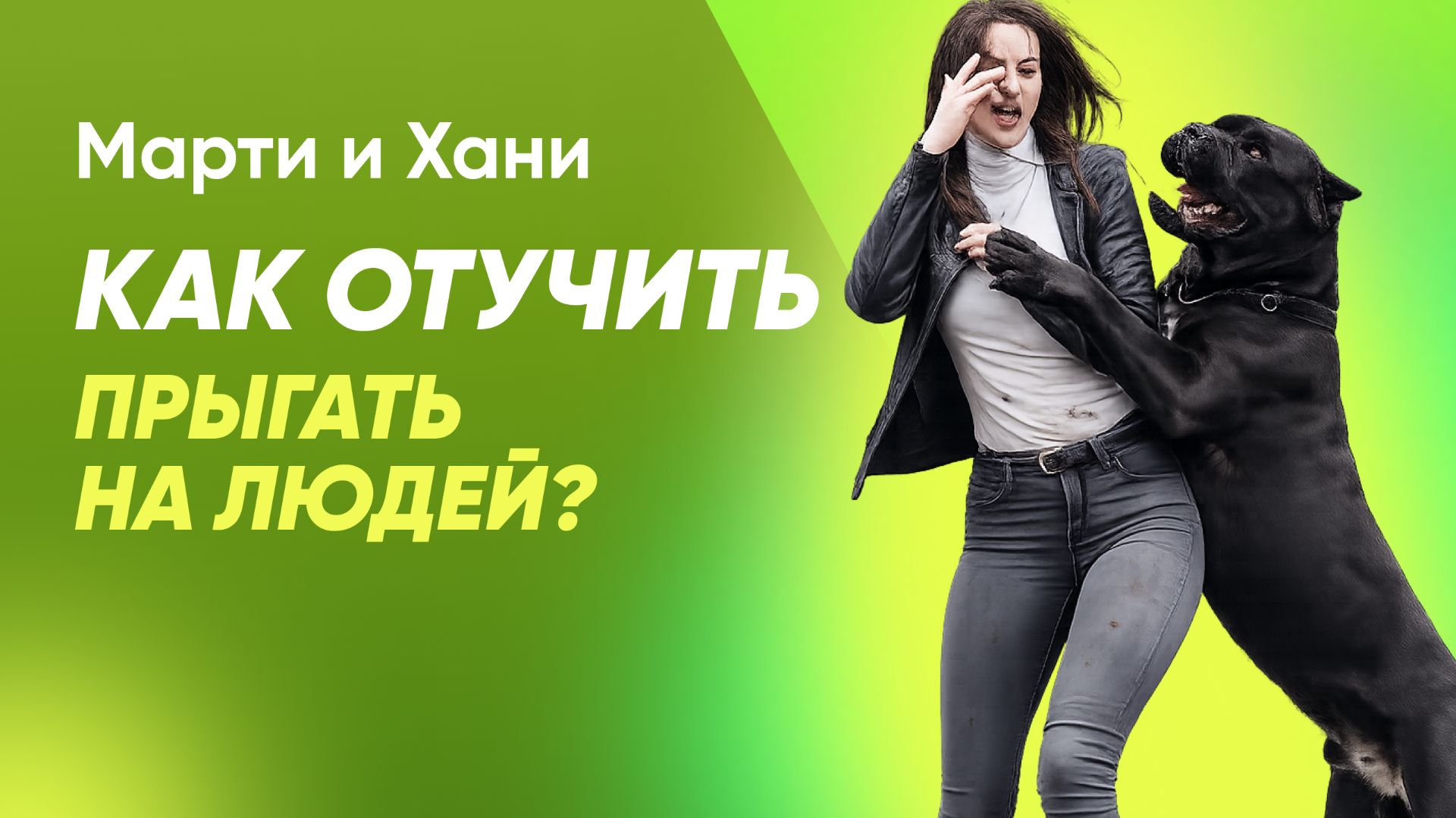 КАК ОТУЧИТЬ СОБАКУ ПРЫГАТЬ НА ЛЮДЕЙ / ПОШАГОВОЕ РУКОВОДСТВО / ПОЛНЫЙ КУРС ПО КОРРЕКЦИИ ПОВЕДЕНИЯ
