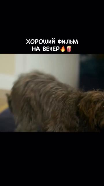 Экзорцизм моей лучшей подруги 2022