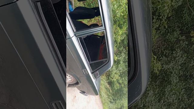 лес убивает корону за 20 мин