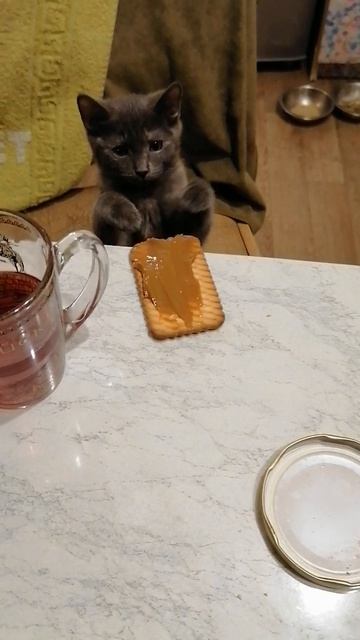 Дуся