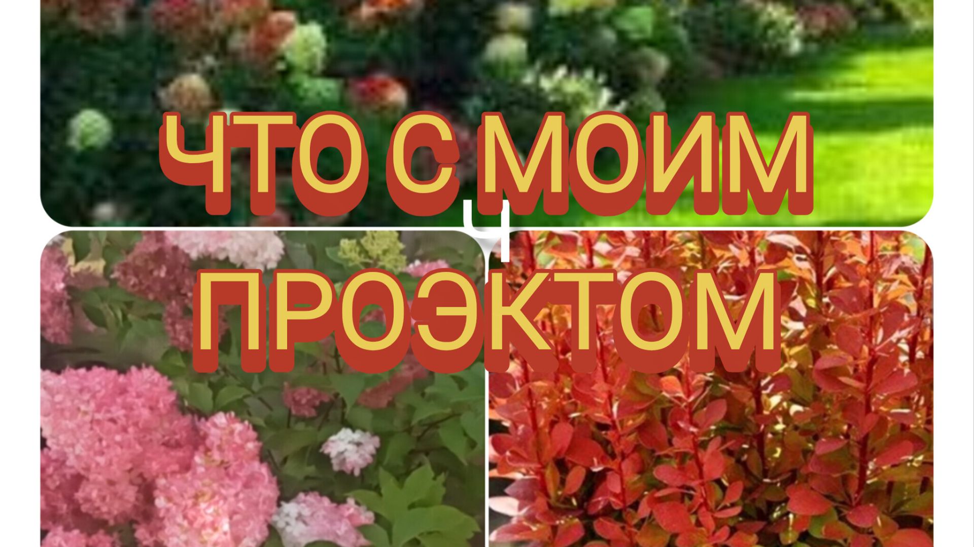 Проект воплощаю в жизнь. А получится ли.Если долго мучится,что-нибудь получится. .