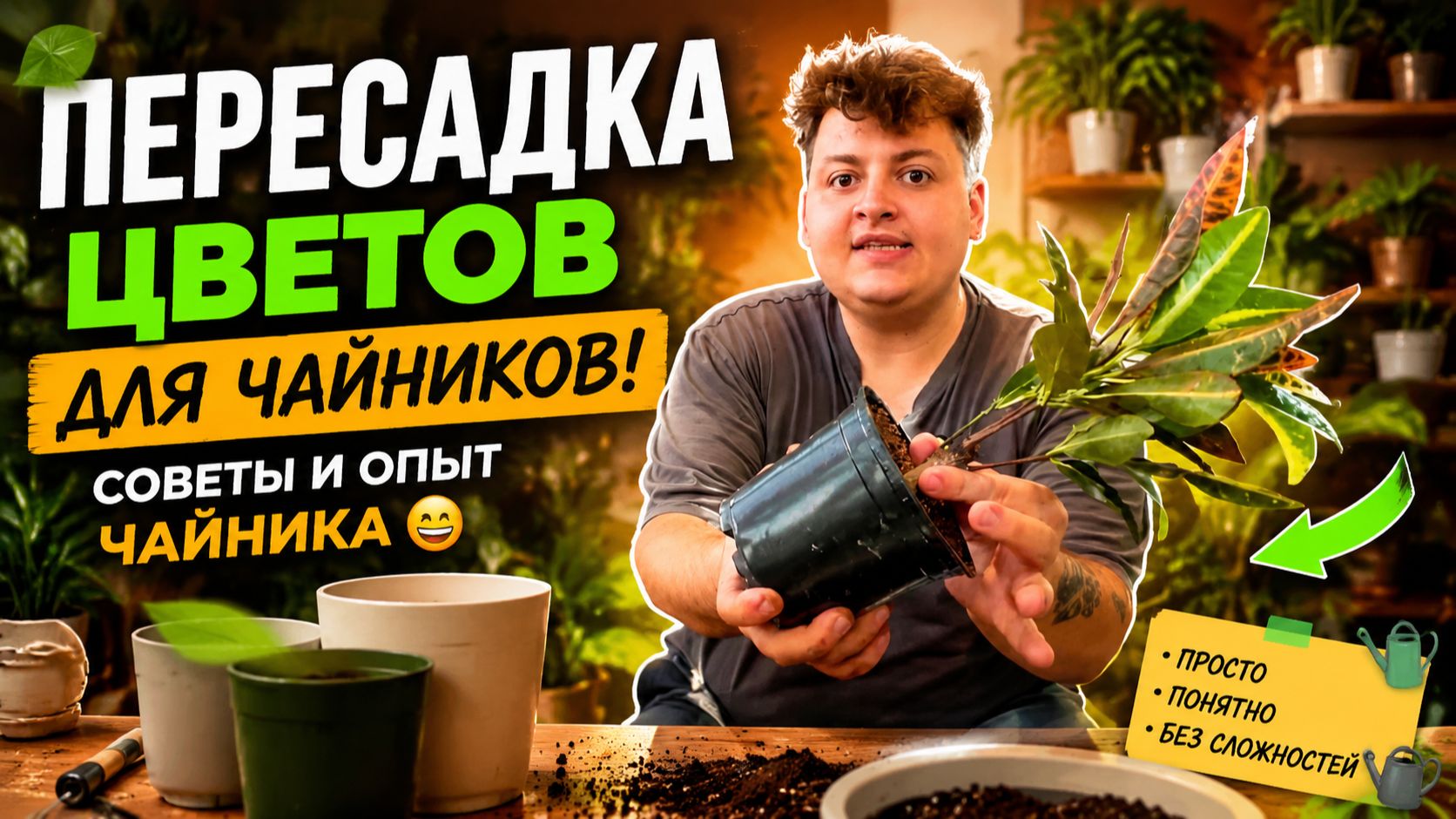 КАК ПЕРЕСАДИТЬ ЦВЕТЫ? СОВЕТЫ ЧАЙНИКАМ ОТ ЧАЙНИКА С ОПЫТОМ 