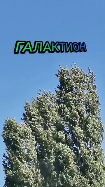 Галактион, слушать сборник  жми сюда 👇👇👇
