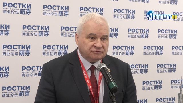 «КИТАЙ СЧИТАЕТ РОССИЮ СВОИМ СТРАТЕГИЧЕСКИМ ТЫЛОМ»: Денисов объяснил, почему