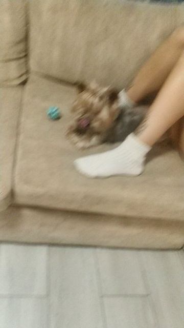 Милые питомцы🐈⬛