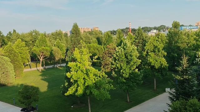 Таша Муляр. Стрим из Пскова. Гуляем по парку Галицкого. Чуть-чуть посплетничаем.