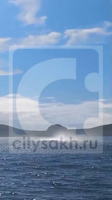 Редкий летательный аппарат заметили жители Кунашира