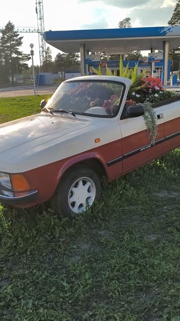Ямало-Ненецкий автономный округ город Ноябрьск (Продаю авто +доп опция клумба и ионизатор из роз))