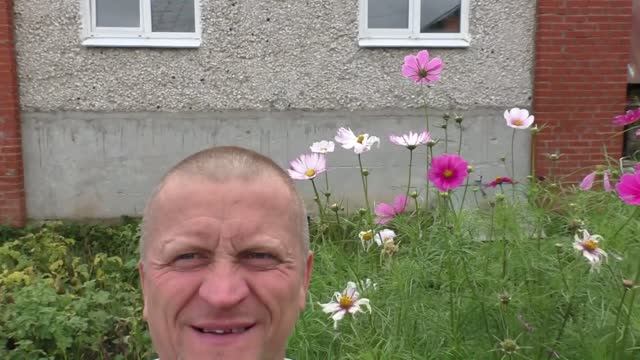 Огородная философия ума