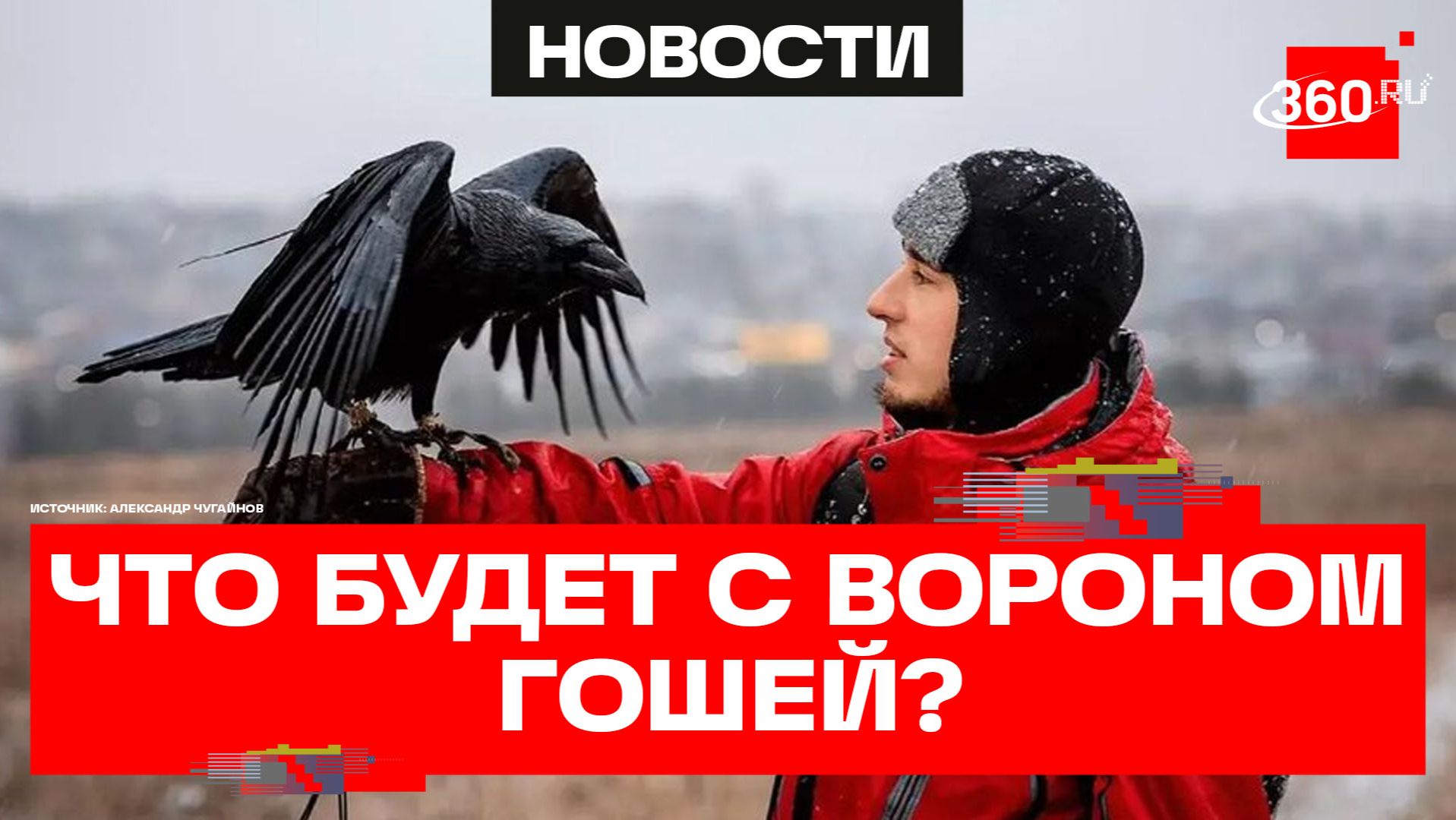 «Это не фейк» - брат блогера Александра Чугайнова рассказал, что ждет ворона Гошу