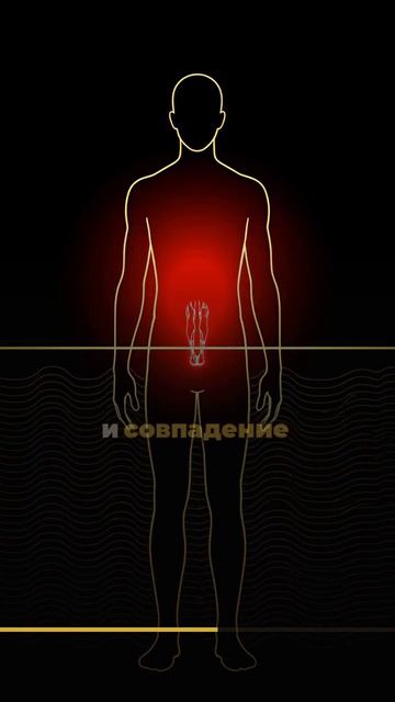 Рядом с людьми сердце меняет ритм: что измерено