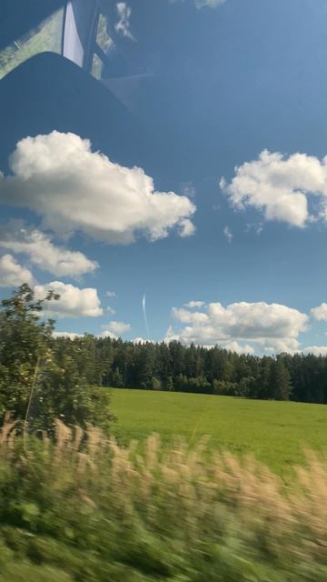 Красота природы🌳🌿🍃