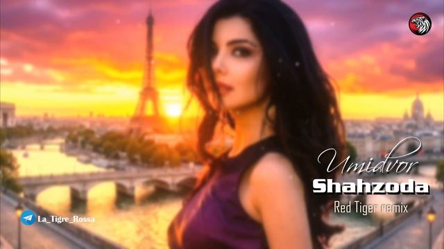 Shahzoda - Umidvor  Red Tiger remix  2026