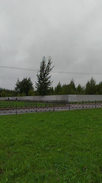 погода из Санкт-Петербурга