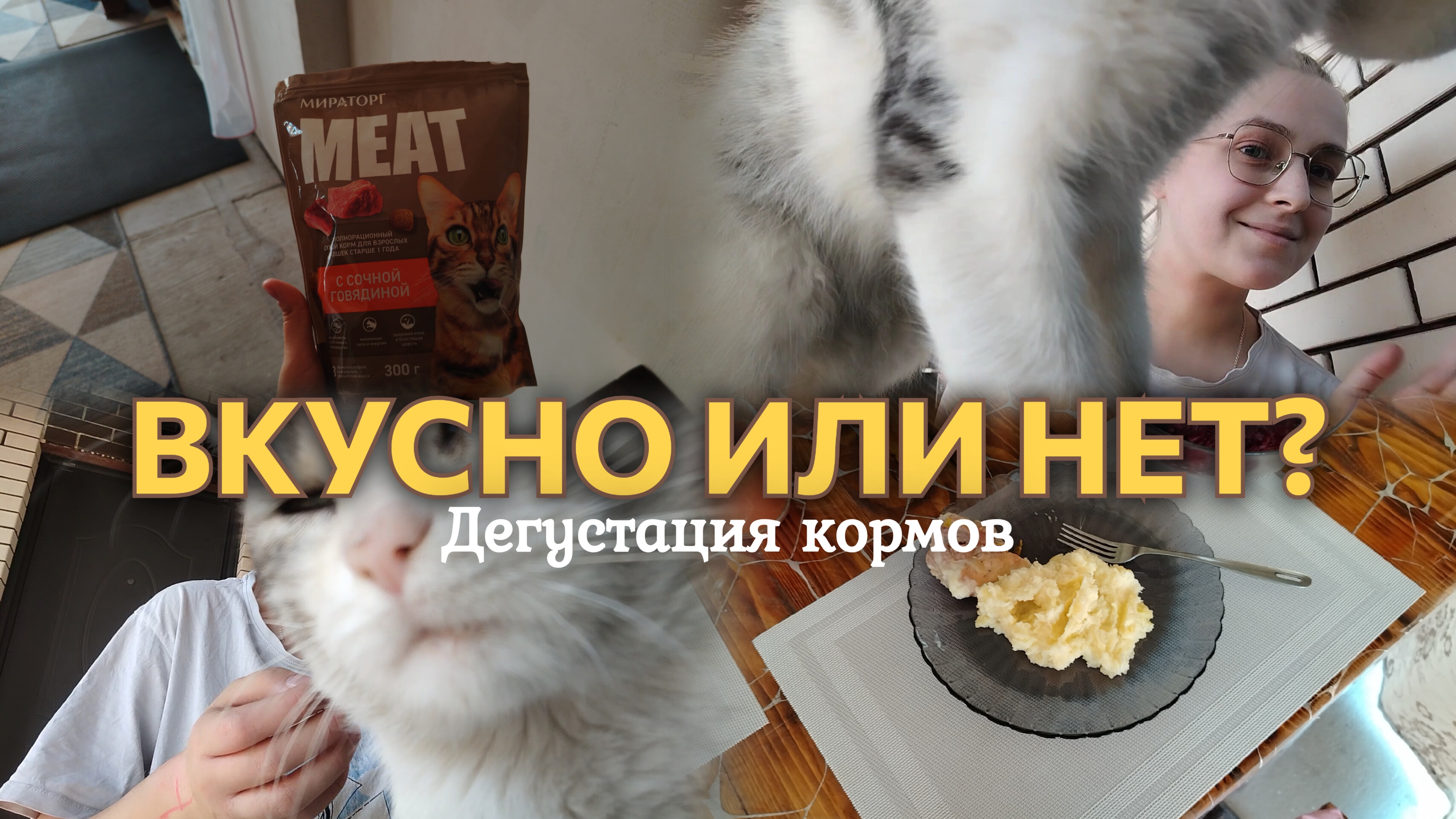 ВЛОГ ДЕГУСТАЦИЯ КОРМОВ🥣 На улице жара☀️
