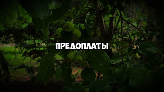 Муж пообещал матери море за счёт зарплаты жены. Утром Марина обнаружила тайное списание