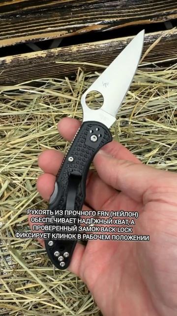 Нож складной Spyderco Delica 4 Flat Ground C11FPBK, сталь VG-10