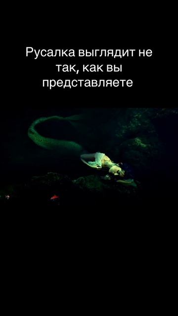 Как выглядит русалка на самом деле?