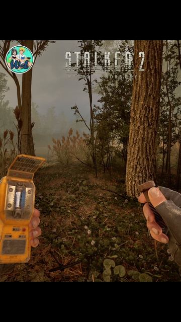 S.T.A.L.K.E.R. 2: АРТЕФАКТ Вихрь