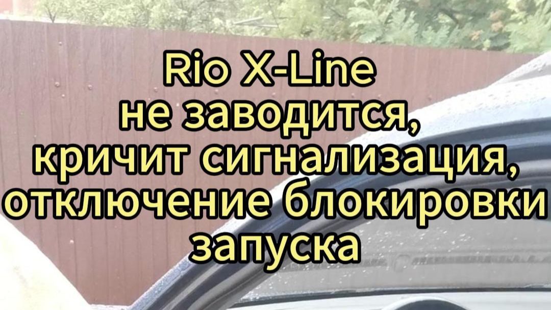 Rio X-Line не заводится, кричит сигнализация, откл