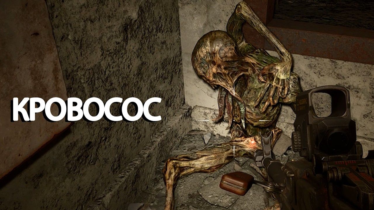 Что стало с кровососами на ВНЗ КРУГ - Цена Надежды #5 - STALKER 2