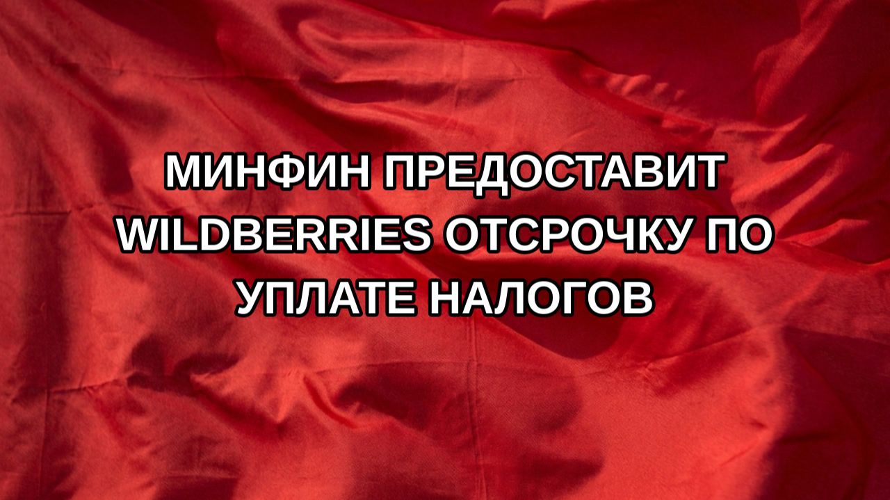 Минфин предоставит Wildberries отсрочку по уплате налогов