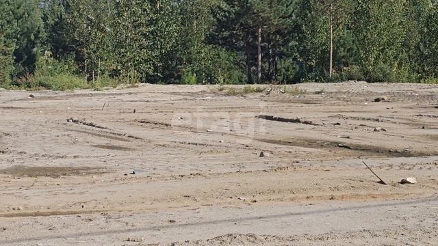 2047506 Витамин