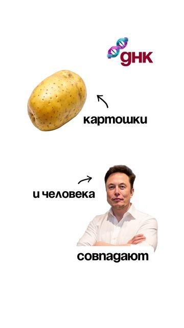 Эйнштейн рассказал все тайны! Смотрите 🪐