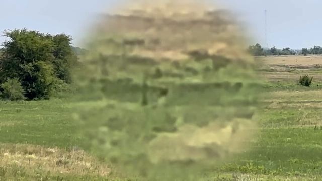 Прицел Mewlite 8x32-56 FFP. Проверка стп на дистанции 606 метров.