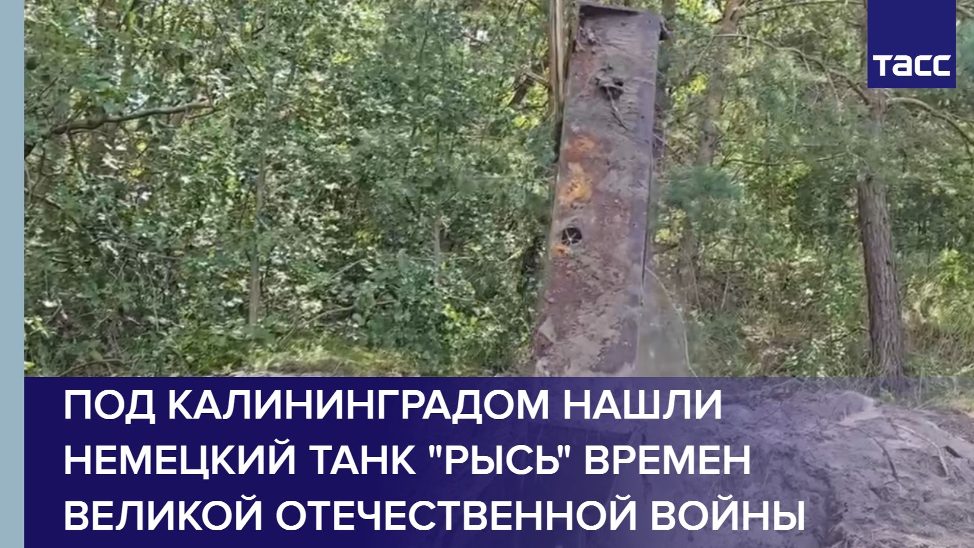 Под Калининградом нашли немецкий танк 