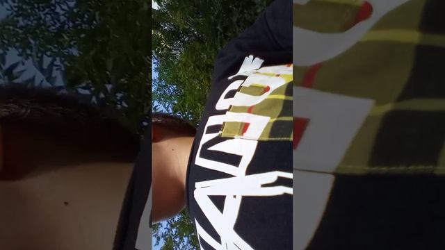 как мы идём домой с другом