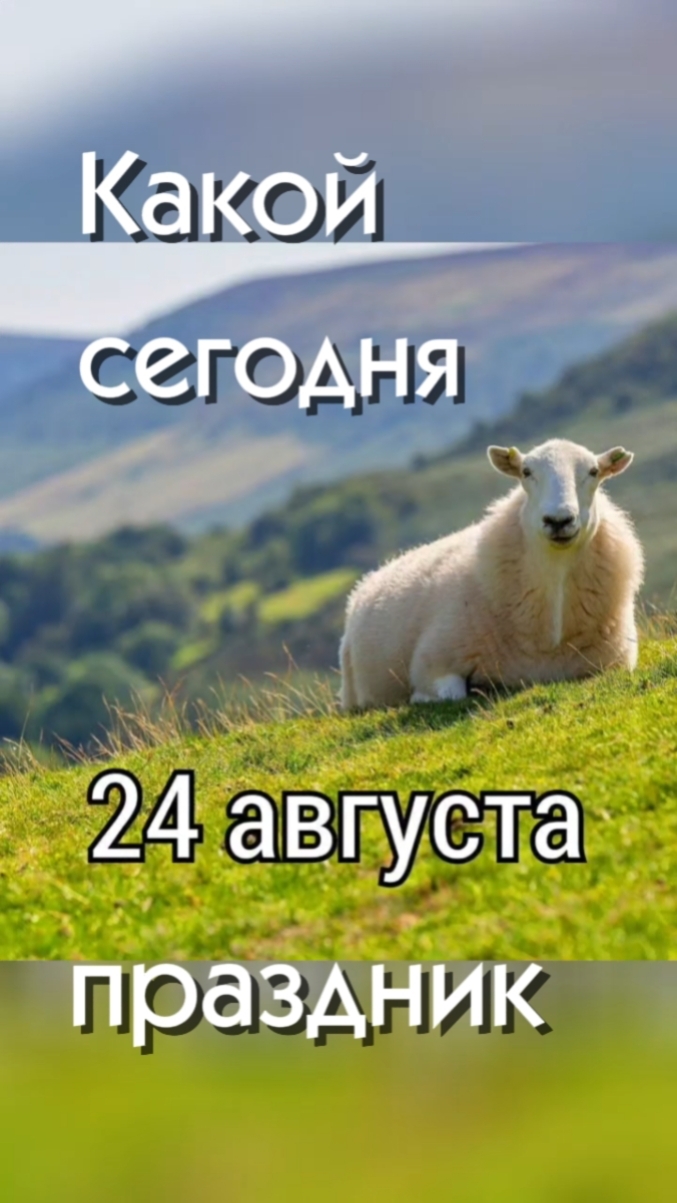 Какой сегодня 24 августа праздник 🎂