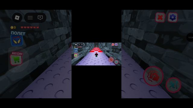 5005.mp4