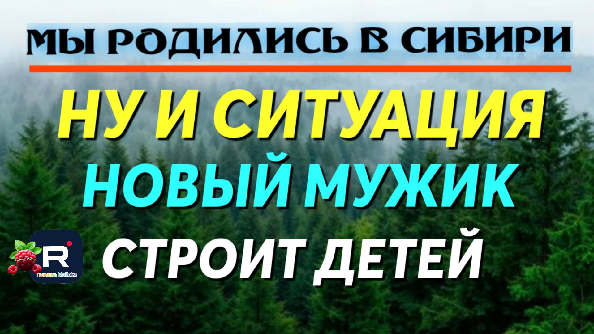 Ну и ситуация /Новый мужик. Строит детей /Мы родились в Сибири Обзор