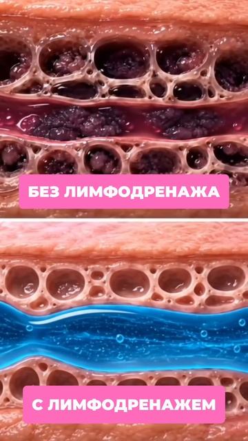 Copy_3376BE8B-EB69-421F-80A3-E8D2B0AA233A