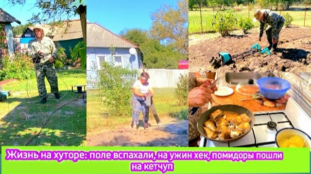 Жизнь на хуторе: поле вспахали на ужин хек помидоры пошли на кетчуп