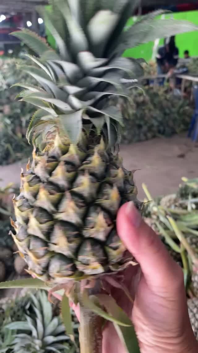 Сколько стоят ананасы в Таиланде? Цены на рынке Ратанакорн🍍